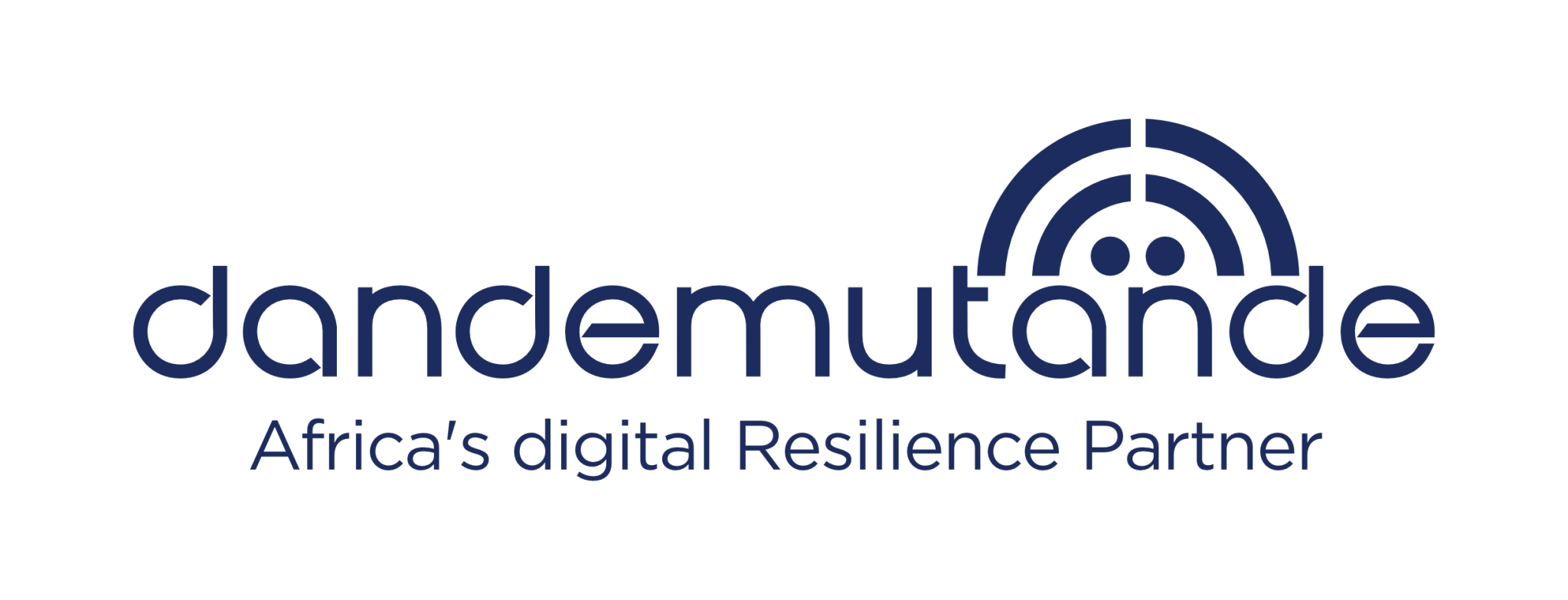 Dandemutande – Africa's Digital Resilience Partner