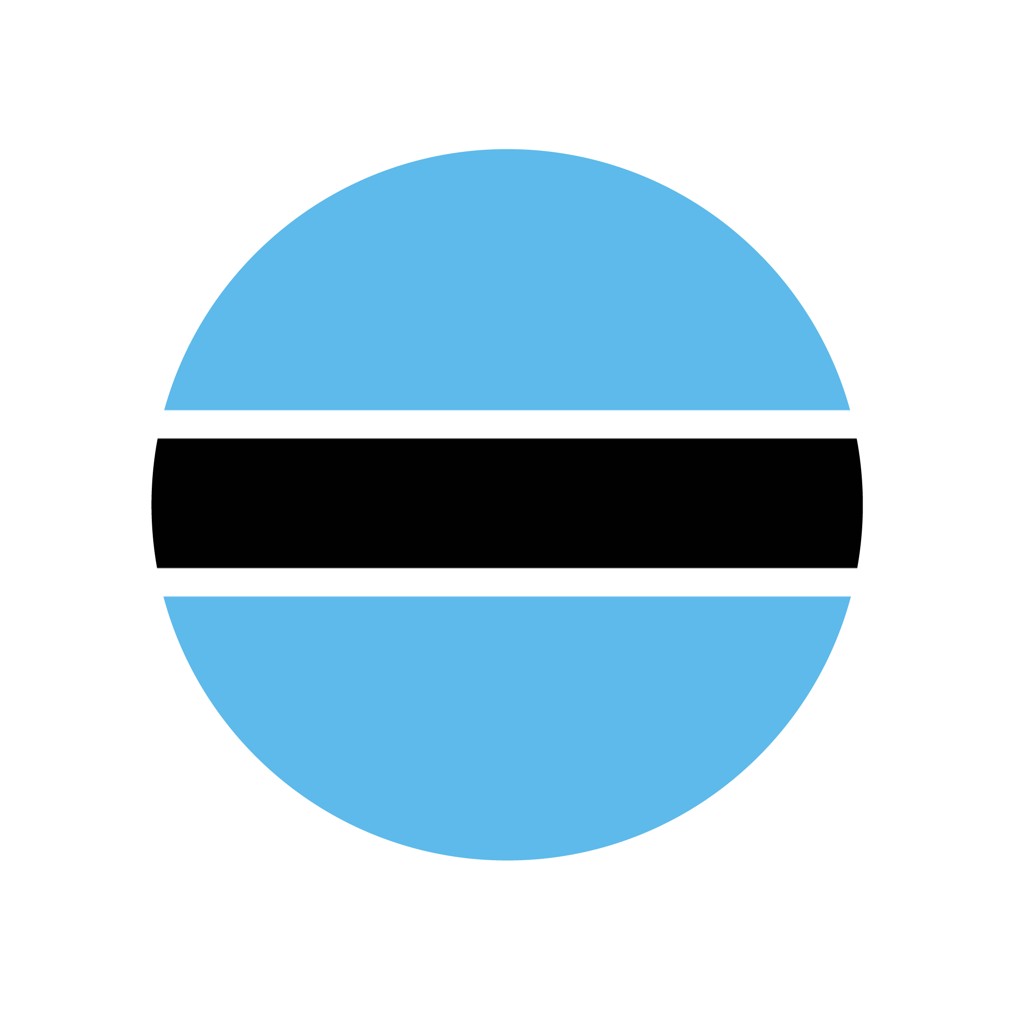 Botswana flag